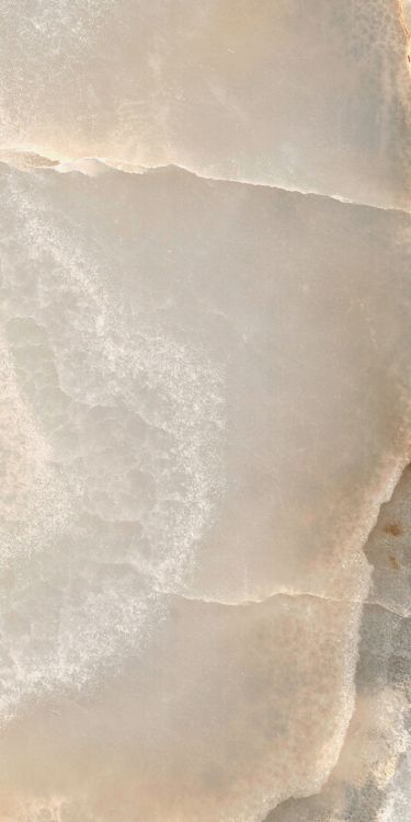 Reves Noisette Matte 12 x 24